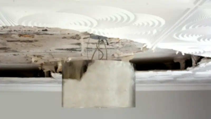 Plafond d'un Airbnb qui s'effondre à Reims : six locataires évacués, un enfant blessé