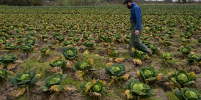 Pluies historiques en France : 40 jours consécutifs, des sols saturés et des communes sinistrées