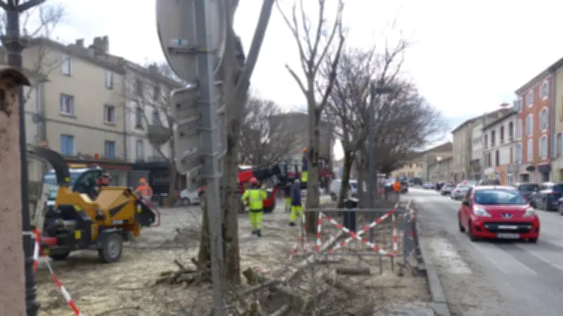 Pont-Saint-Esprit : Élagage intensif des platanes et micocouliers pour la sécurité publique