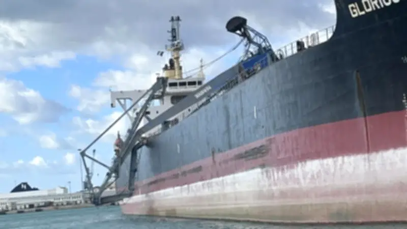 Port de Sète : une grue de 600 tonnes s'effondre sur un cargo, un défi inédit