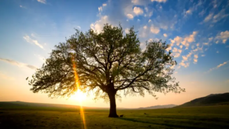 Portiragnes : la médiathèque invite les enfants à découvrir l'histoire des arbres