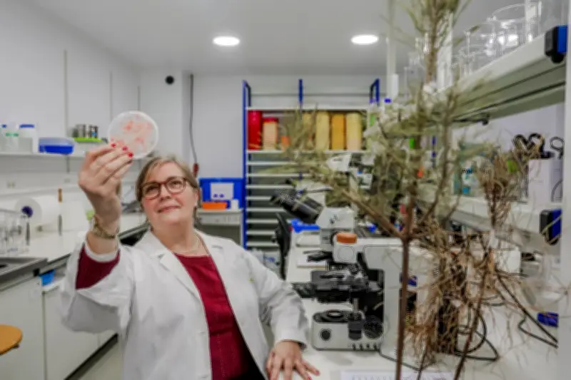 Portugal : deux scientifiques en première ligne contre le nématode du pin