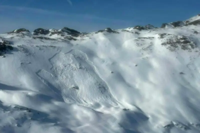 Pourquoi les skieurs défient-ils les avalanches malgré les risques mortels ?