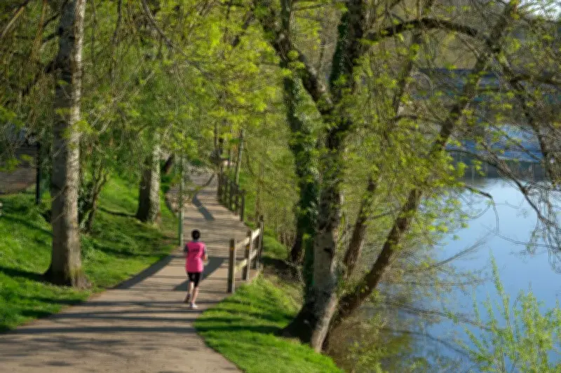Périgueux : un motard ivre et sans casque condamné après une fuite