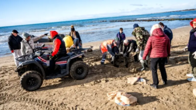 Project Rescue Ocean mobilise pour nettoyer la plage des Orpellières dans l'Hérault
