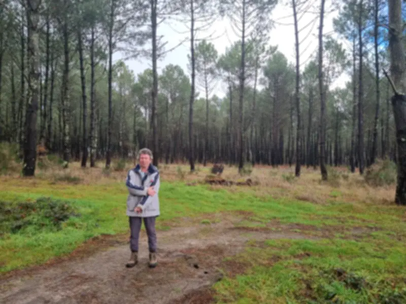 Projet Gila : la forêt de Cubnezais au cœur d'une polémique sur l'implantation électrique