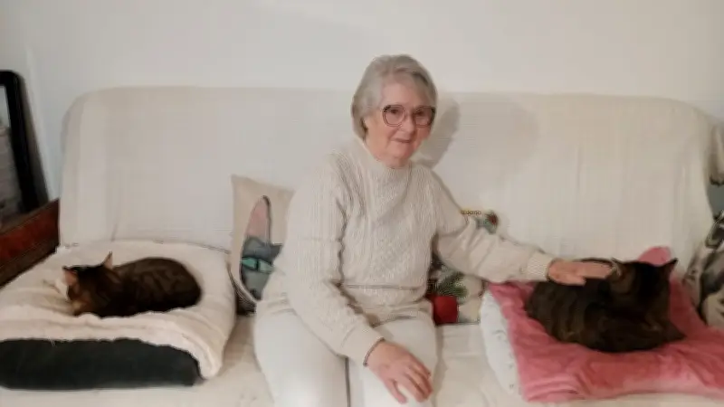 Prolifération féline à Pézenas : Christiane Balmer alerte sur l'urgence de la stérilisation