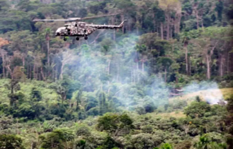 Pérou : un chien, seul survivant d'un crash d'hélicoptère militaire qui a fait 15 morts
