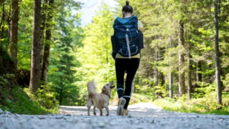 Randonneuse de 21 ans meurt d'hypothermie dans les Adirondacks malgré l'intervention des secours