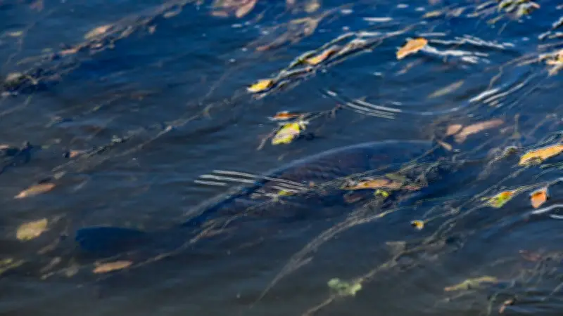 Recharge des nappes phréatiques en hausse dans le Gard après un hiver pluvieux