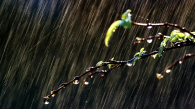 Record historique : 40 jours de pluie consécutifs en France, le mois de février le plus pluvieux depuis 1959
