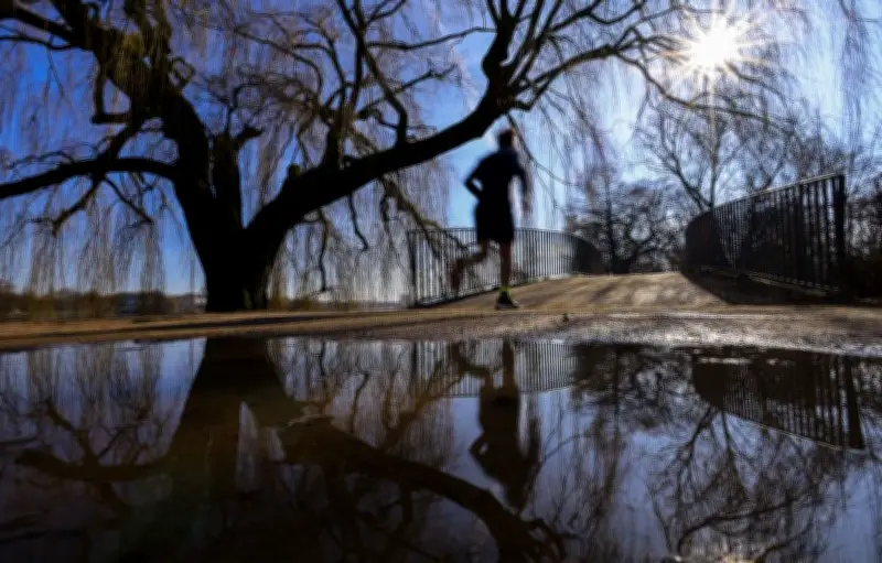 Records de chaleur en février : un répit ensoleillé après les inondations