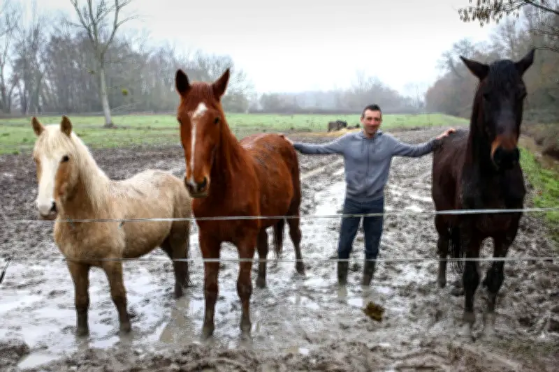 Éric Martin, fondateur de Ne crin plus rien, condamné pour manquements envers les chevaux