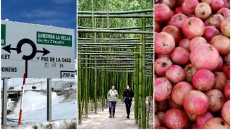 RN20 rouvre, Bambouseraie fête ses 170 ans, grenade en Occitanie : l'actu régionale