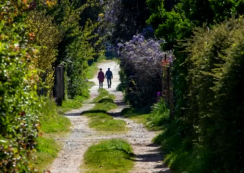 Rochefort : Les Chemins blancs, un combat pour préserver la nature en ville