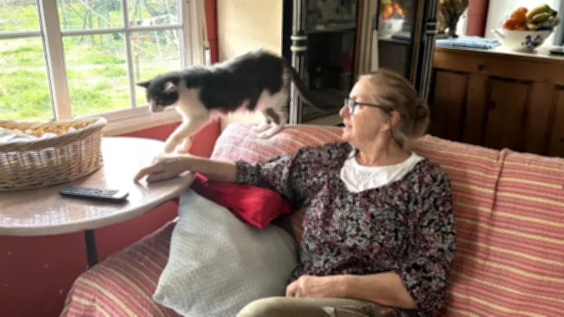 Roquemaure renouvelle son partenariat pour la gestion des chats errants