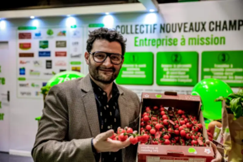 Rougeline, leader français de la tomate, réinvente l'agriculture face aux défis du marché
