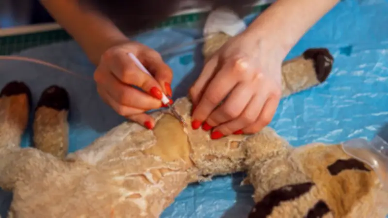 Réparatrices de doudous : elles accèdent à l'enfant intérieur de leurs clients