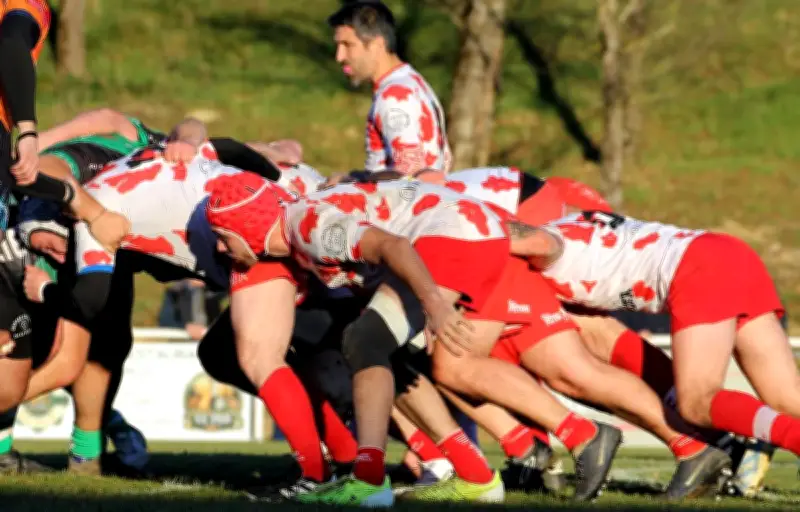 Rugby amateur : un joueur entre vie et mort après un coup à la tête en match