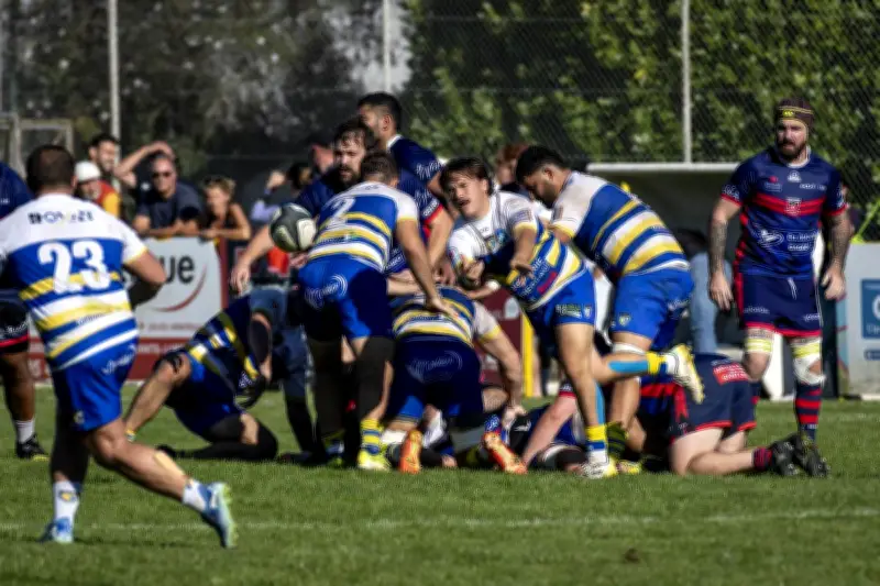 Rugby : Les clubs saintongeais brillent lors d'une journée tronquée en poule 13