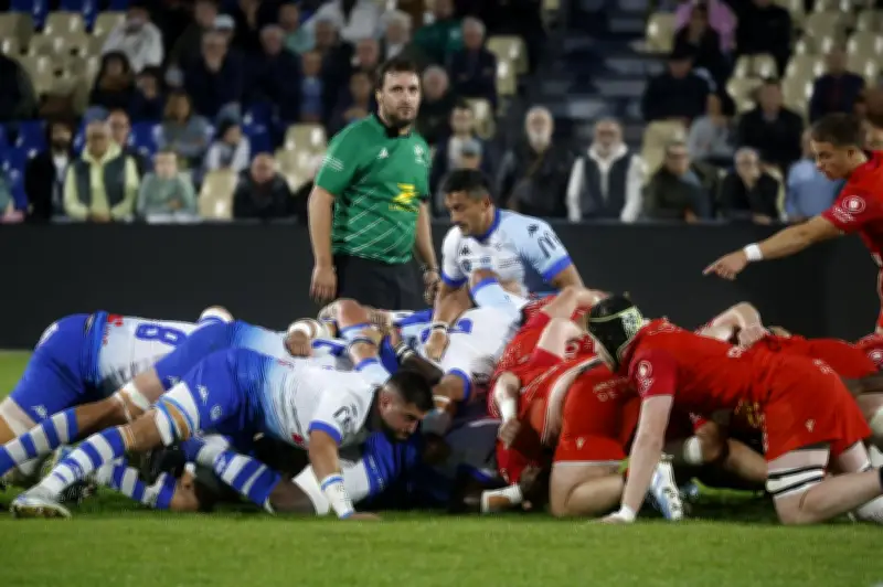 Rugby : Périgueux domine mais s'incline à Niort, un point de bonus en consolation