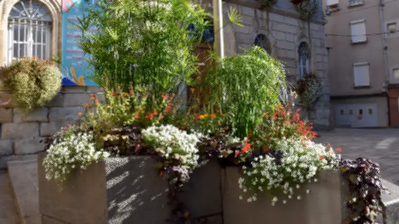 Saint-Affrique remporte le premier prix départemental du fleurissement en Aveyron