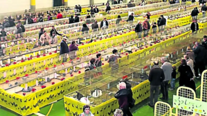 Saint-Aunès : 600 animaux en concours avicole avec vente au public