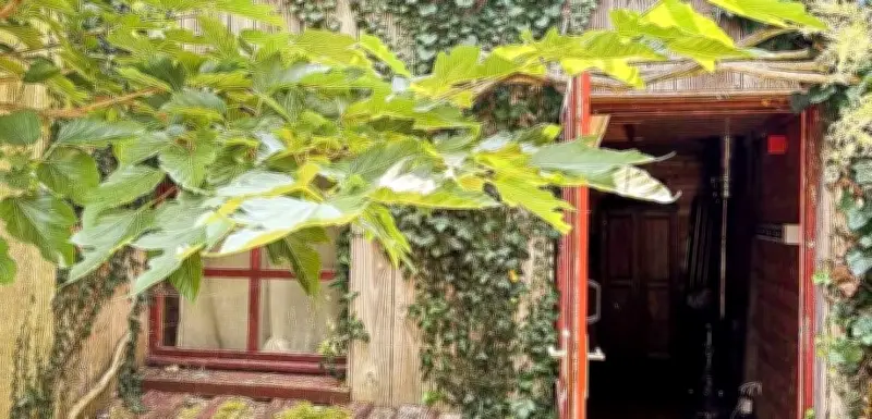 Saint-Denis-d’Oléron : Le Tiny Café et les tiny houses au cœur d’un conflit d’urbanisme