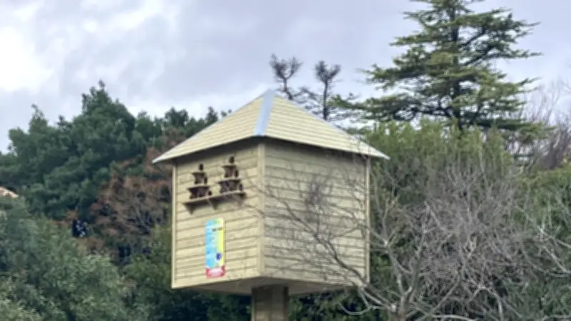 Saint-Georges-d'Orques inaugure un pigeonnier contraceptif pour réguler sa population de pigeons