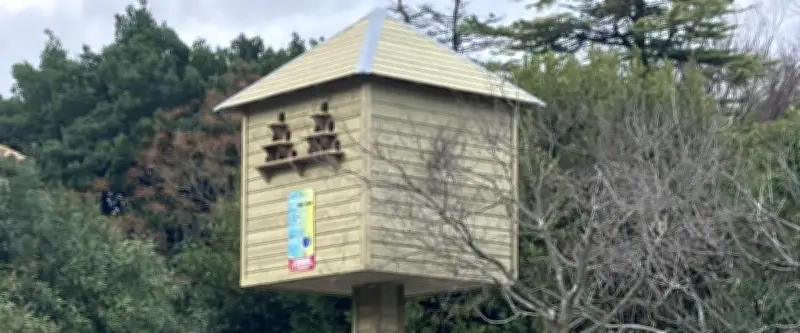 Saint-Georges-d'Orques inaugure un pigeonnier contraceptif pour une régulation éthique