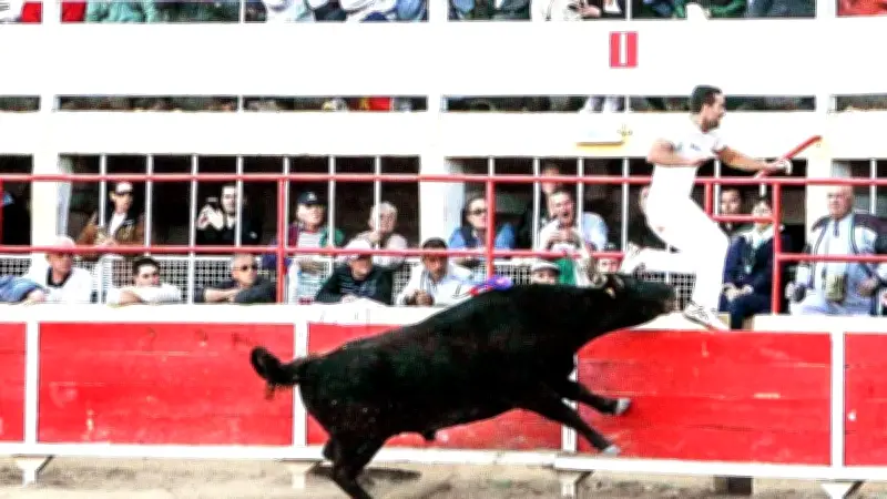 Saint-Gilles lance sa saison taurine avec un week-end d'animations et de traditions camarguaises