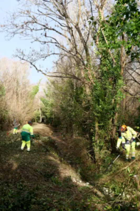 Saint-Pierre-d’Oléron achève une campagne d’entretien des espaces naturels et hydrauliques