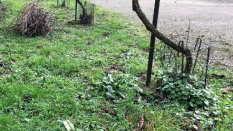 À Saint-Rome-de-Tarn, l'hiver est le temps des gabels et de la taille de la vigne