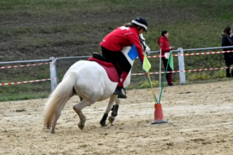 Saint-Seurin-sur-l'Isle célèbre le Pony-Games avec 31 épreuves équestres ce dimanche