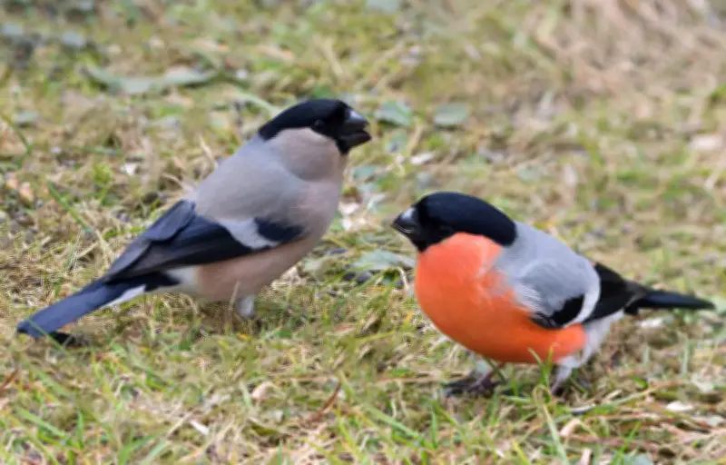 Saint-Valentin alternative : comment célébrer l'amour sans le 14 février ?