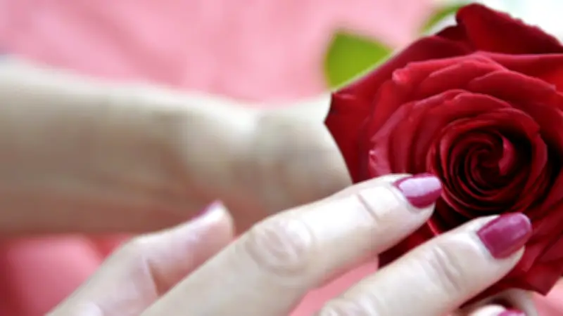 Saint-Valentin dans le Biterrois : Dernières idées pour célébrer l'amour