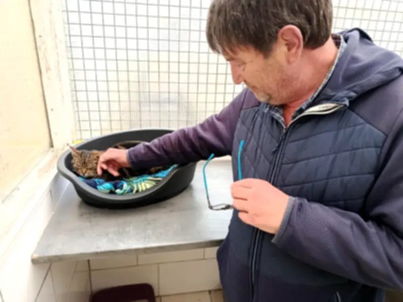 Saint-Valentin des animaux à la SPA de Marsac-sur-l'Isle : un succès pour l'adoption