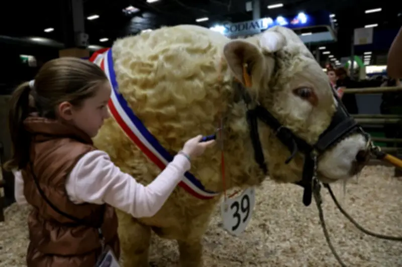Salon de l'Agriculture 2026 : Absence des vaches due à la dermatose nodulaire
