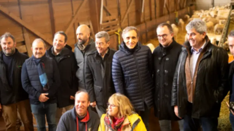 Salon de l'Agriculture 2026 : Les brebis aveyronnaises à l'honneur en l'absence des vaches