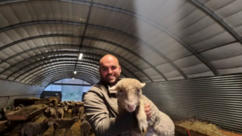 Salon de l'agriculture 2026 : l'élevage ovin de Meynes Dombry prêt à briller à Paris