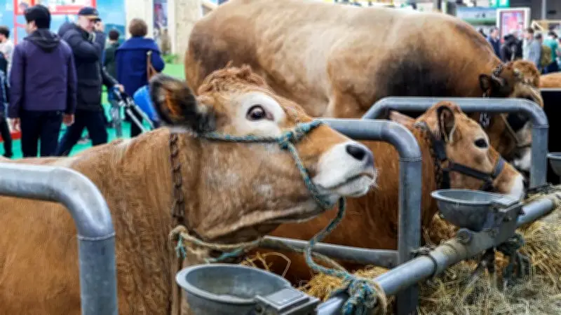 Salon de l'agriculture 2026 : pas de vaches malgré Macron, un programme réinventé