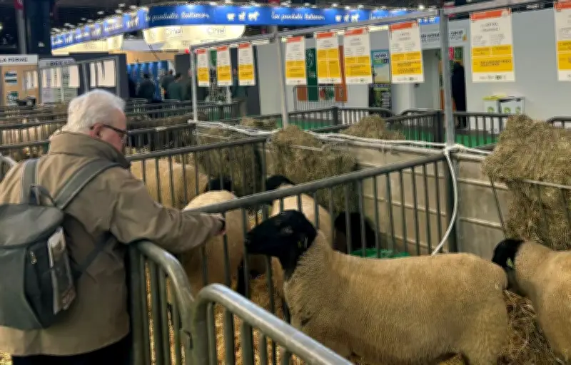 Salon de l'Agriculture 2026 : Une édition historique sans vaches, un vide symbolique et des adaptations