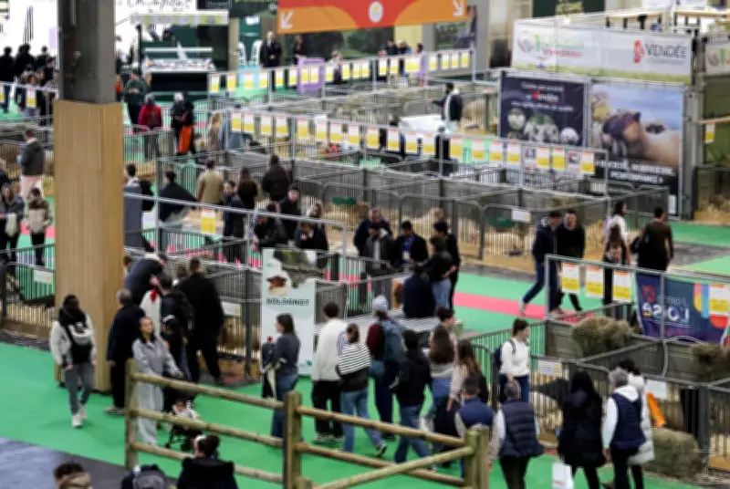 Salon de l'Agriculture : bagarre générale, 15 interpellations et deux forces de l'ordre blessées