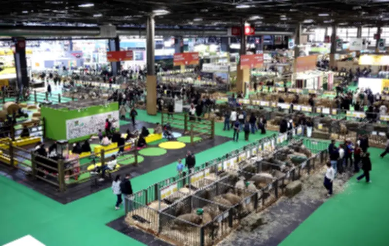 Salon de l'Agriculture : cinq personnes jugées en avril après la rixe au stand de nougat