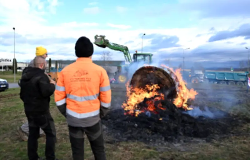Salon de l'Agriculture : la Coordination rurale boycotte l'inauguration par Emmanuel Macron