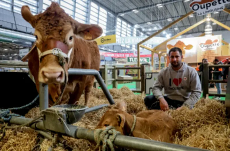 Salon de l'Agriculture : La Nouvelle-Aquitaine dévoile ses innovations et ses jeunes talents