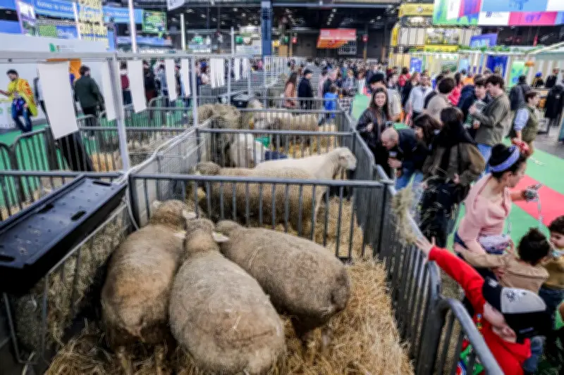 Salon de l'Agriculture : une ouverture atypique sans bovins vivants