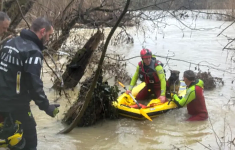 Sauvetage périlleux d'un chien coincé sur un tronc dans la Garonne en crue