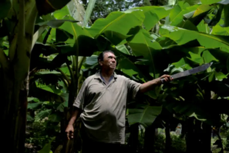 Scandale du Nemagon au Nicaragua : la Cour d'appel de Paris face aux multinationales chimiques