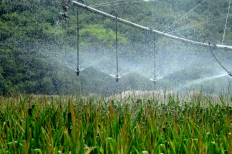 Sobriété de l'eau : les connaissances existent, mais leur application reste bloquée